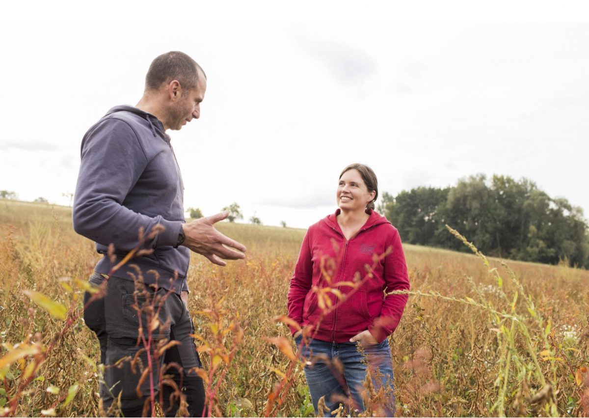 ドイツで大豆の栽培と品種改良